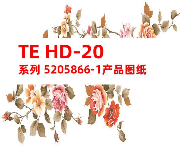 TE HD-20系列 5205866-1产品图纸